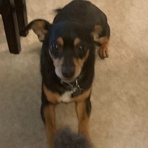 Meet your Posher, Katie